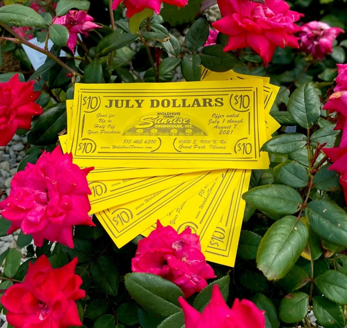 July Dollars