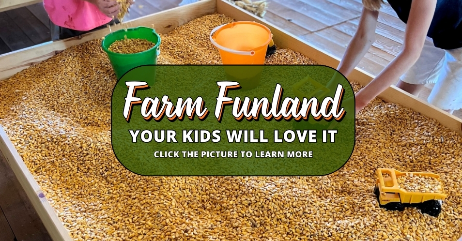 farm funland