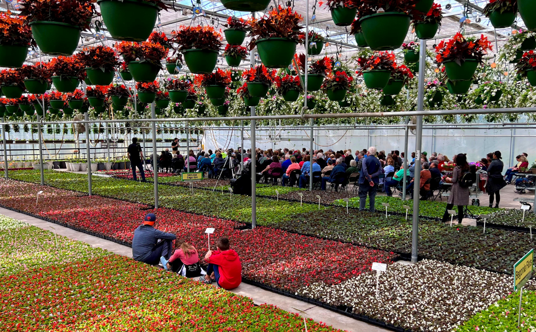 holiday christmas decor